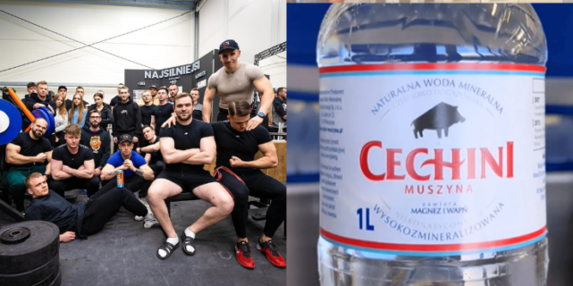 WK Dzik x Cechini – zapowiedź nowej współpracy!